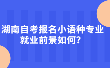 湖南自考報名小語種專業就業前景如何？