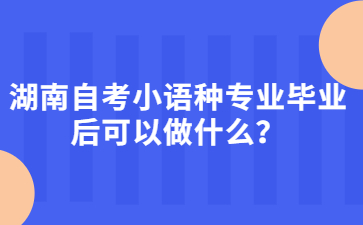 湖南自考小語種專業畢業后可以做什么？